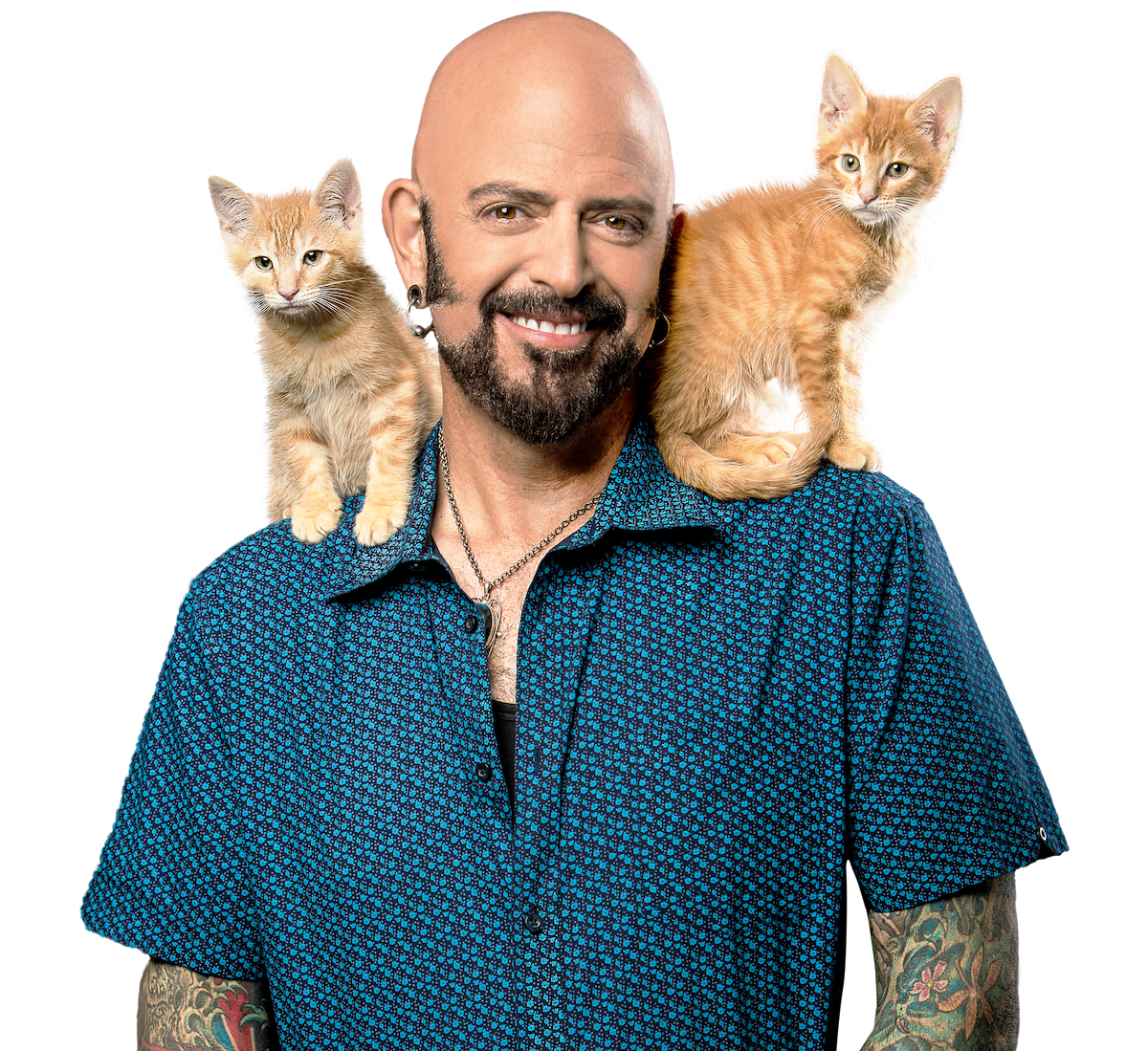 Jackson galaxy sales shop